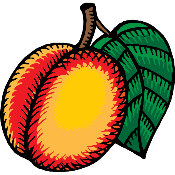 SVG Nectarine vector clip art