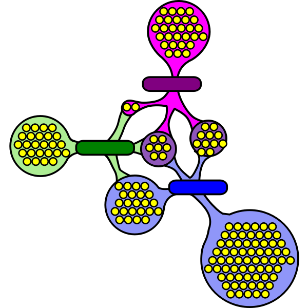 SVG network-1575205867