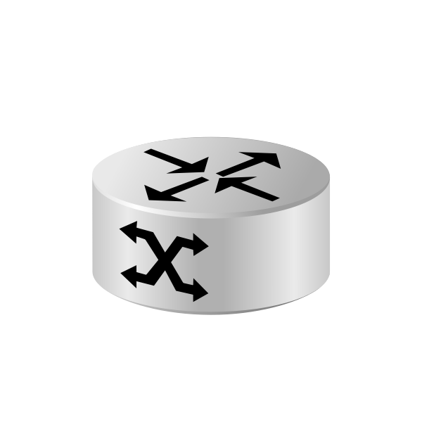 SVG Network map icon