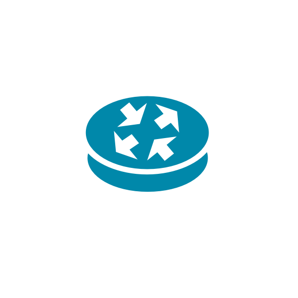SVG Network router vector image