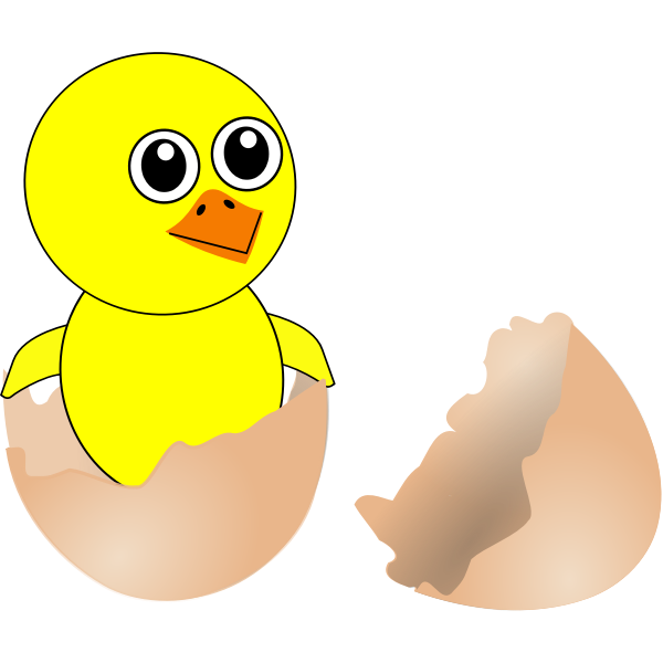 SVG Newborn chicken in eggshell vector image