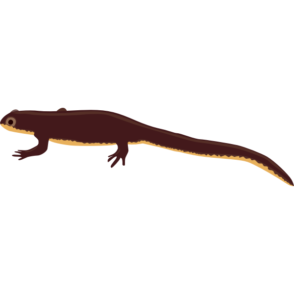 SVG Newt