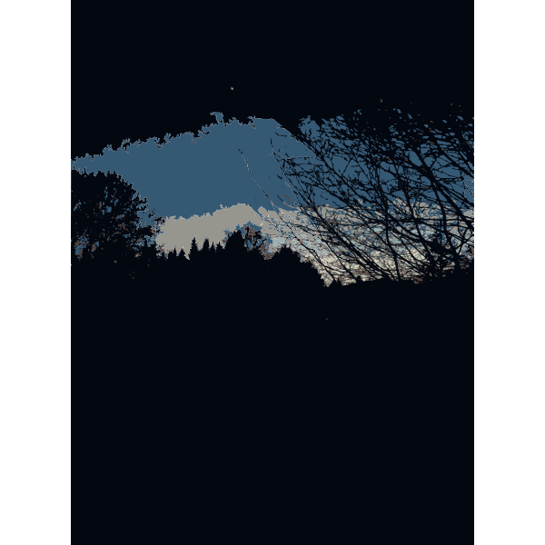 SVG Night in the forest