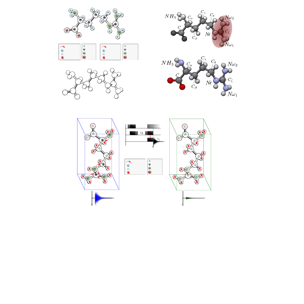 SVG NMR arginine schemes