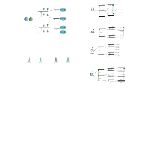 SVG NMR scalar coupling schemes