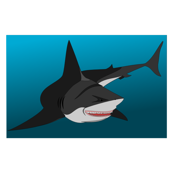 SVG Non Friendly shark