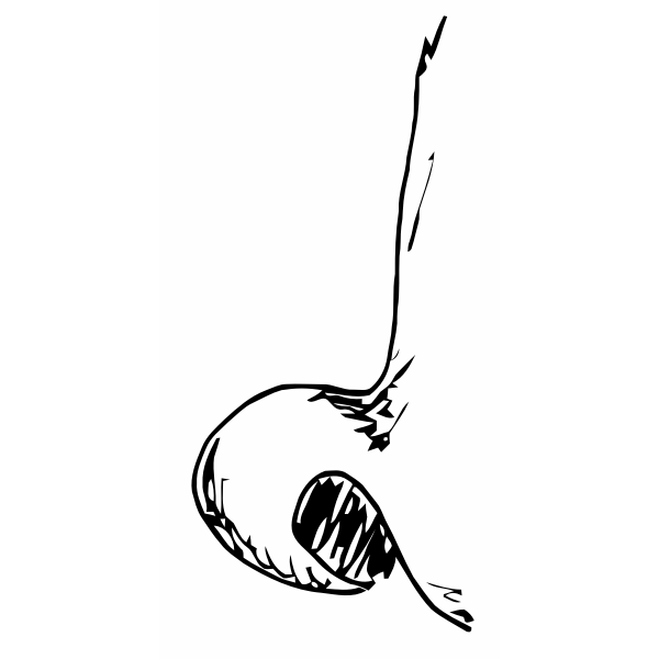 SVG Nose