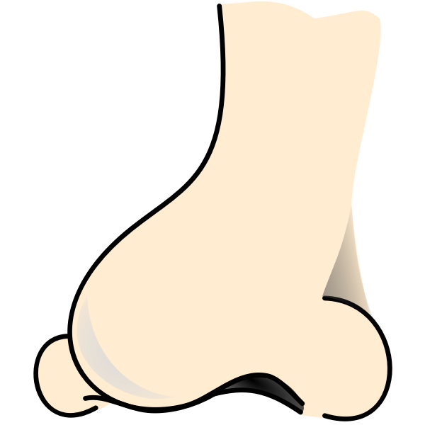 SVG Nose