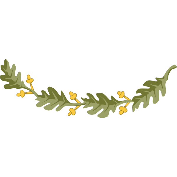 SVG Oak branch vector drawing