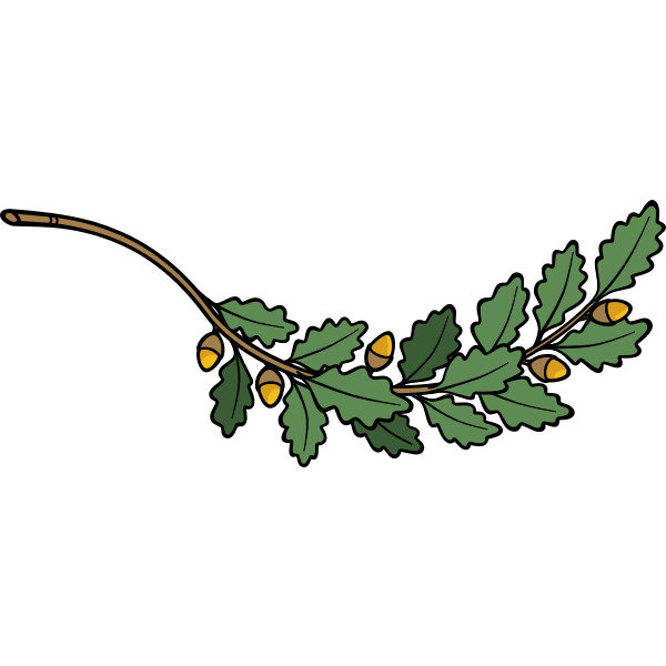 SVG Oak branch vector image