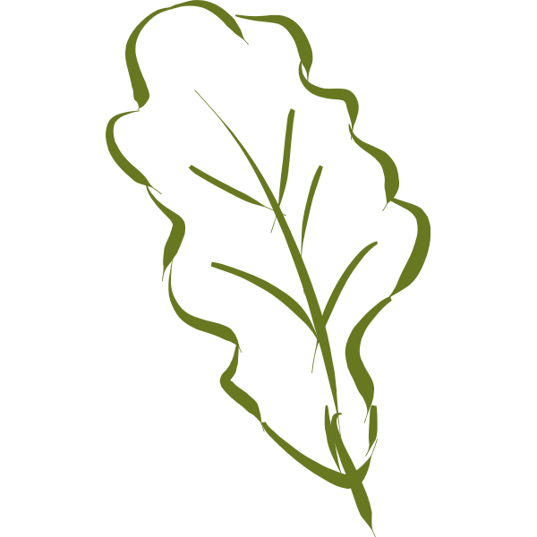 SVG Oak leaf-1577293685