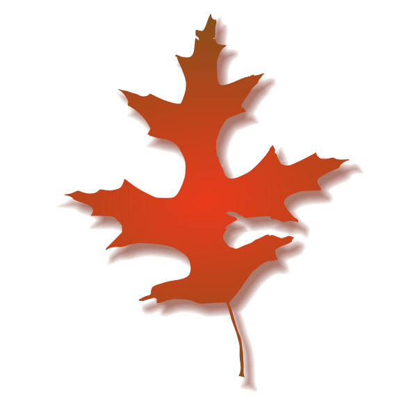 SVG Oak leaf vector illustration