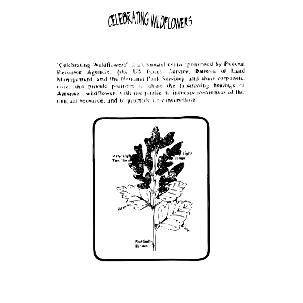 SVG Ocean Spray Coloring Guide