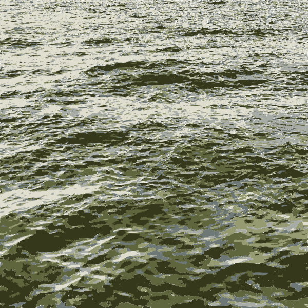 SVG Ocean waves vector image