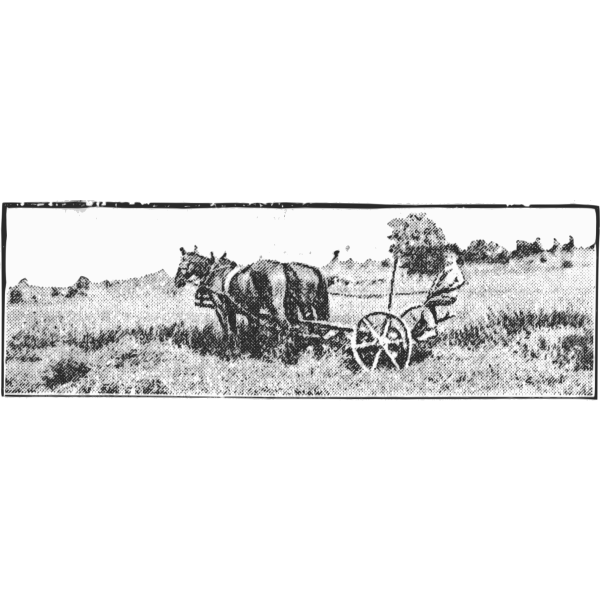 SVG Old farmer