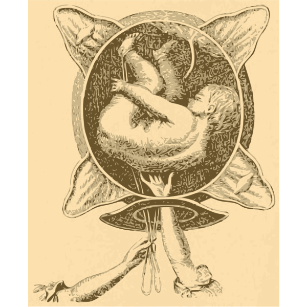 SVG Old Idea of Birth