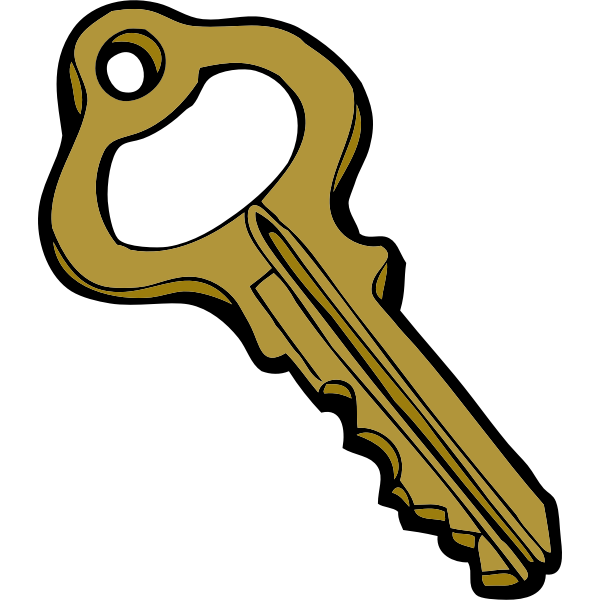 SVG Old style hollow door key vector image