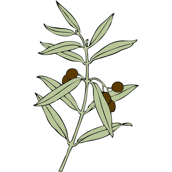 SVG olive branch