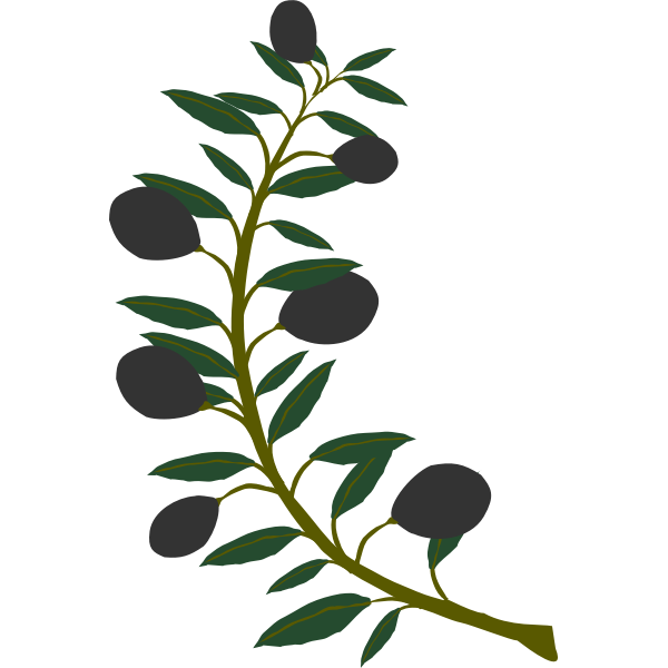 SVG Olive branch with black olives
