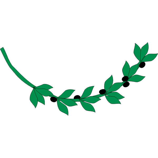 SVG Olive branch with black olives vector image
