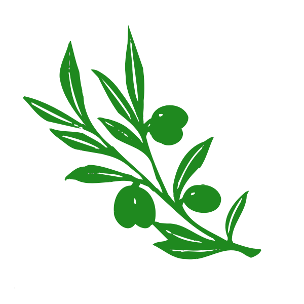 SVG Olive tree branch vector image