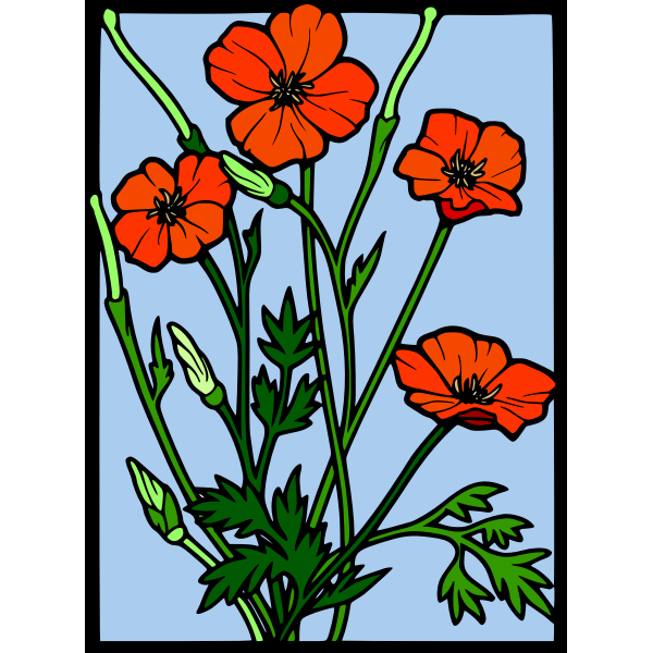 SVG olor poppy frame vector drawing
