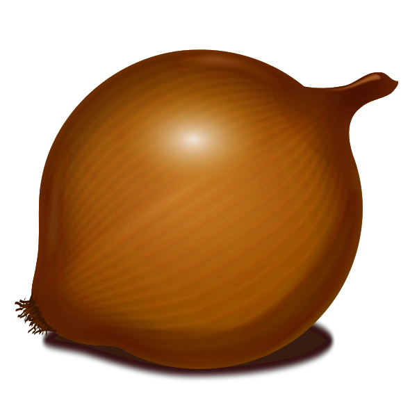 SVG Onion vector image