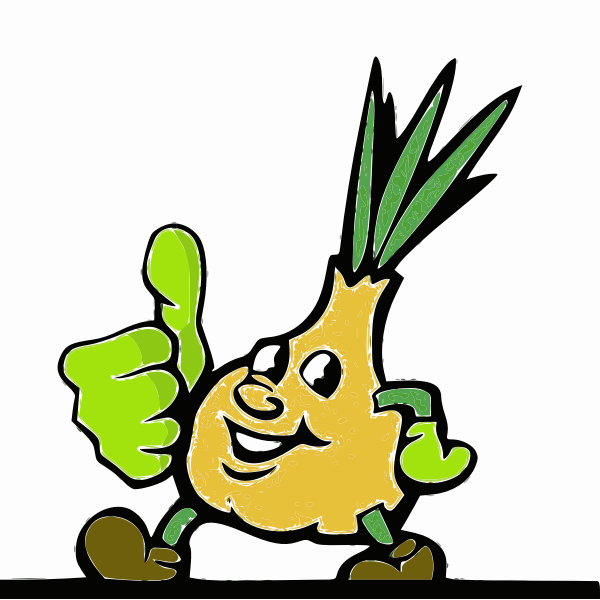 SVG onion with thumb up