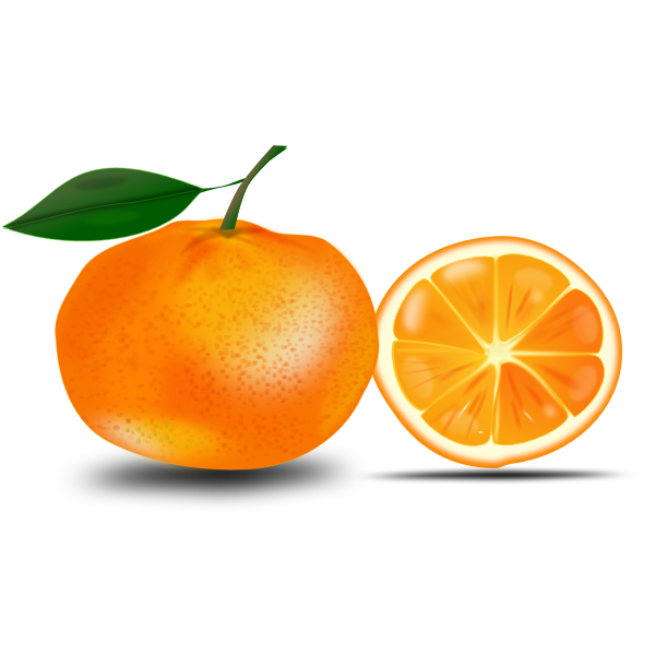 SVG Orange and a slice