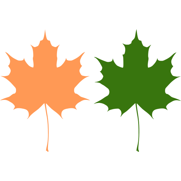 SVG Orange and green maple leaves vector drawing
