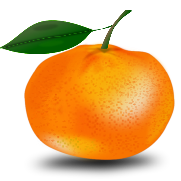 SVG Orange and leaf