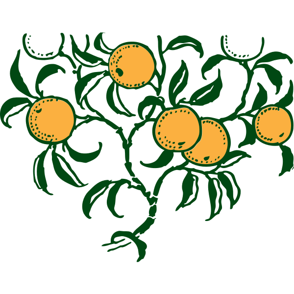 SVG Orange branch vector graphics
