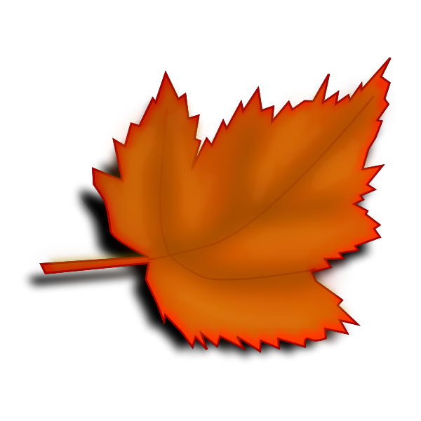SVG Orange fall leaf vector image