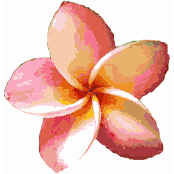SVG Orange Flower 2015052048