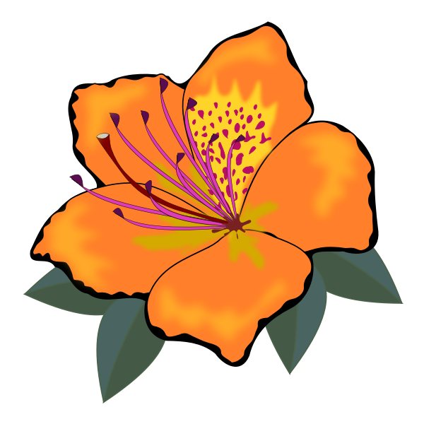 SVG Orange flower with leaves