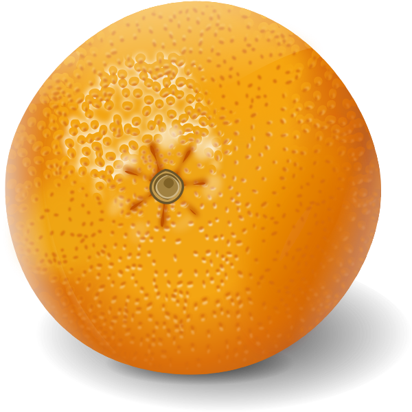 SVG Orange fruit clip art