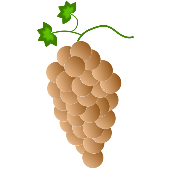 SVG Orange grapes