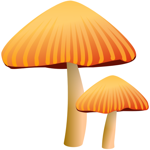 SVG Orange mushrooms vector drawing
