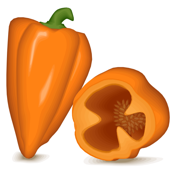 SVG Orange pepper bell