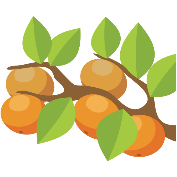 SVG orange tree with fruit