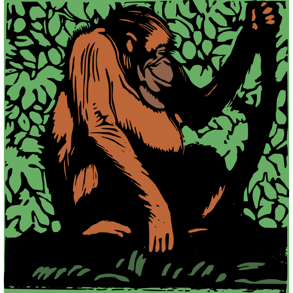 SVG orangutan wood cut
