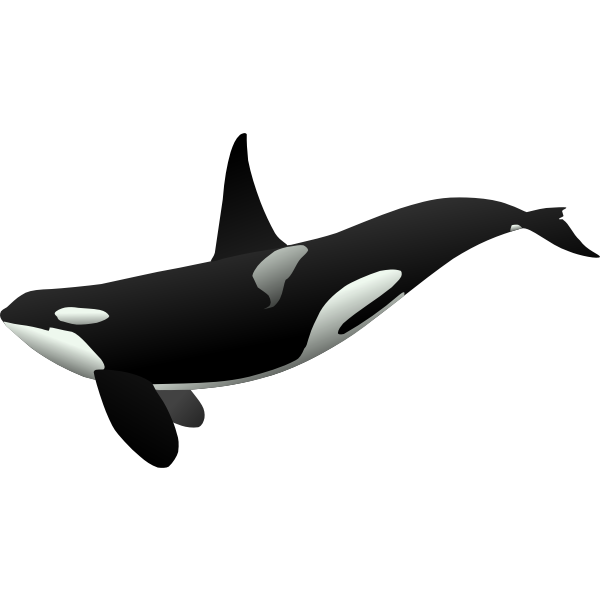 SVG Orca matthew gates r