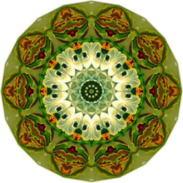 SVG Orchidae fractal pattern