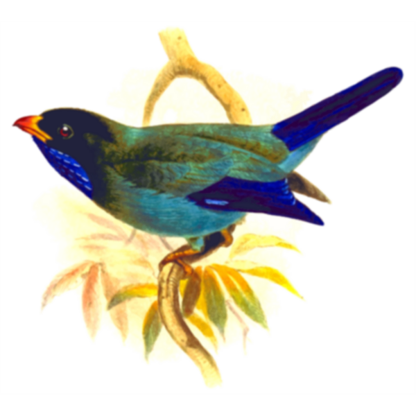 SVG Oriental dollarbird