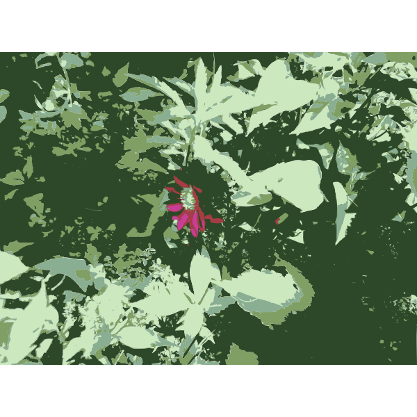 SVG Original Aiflowers 227