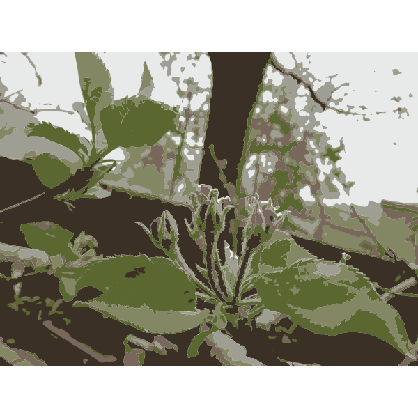 SVG Original Aiflowers 80