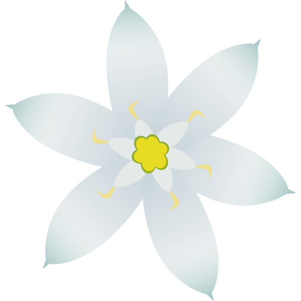 SVG Ornithogalum