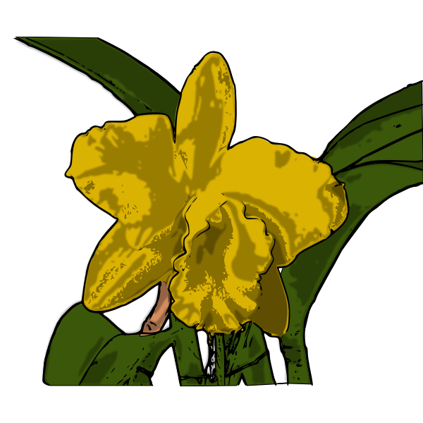 SVG orqudea