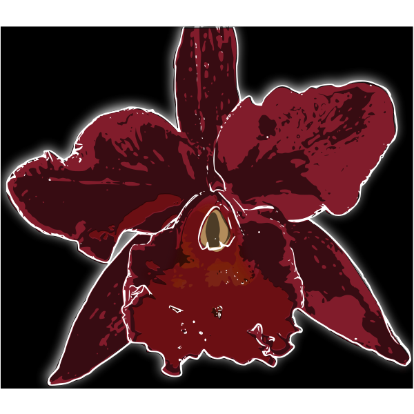 SVG orqudea 2