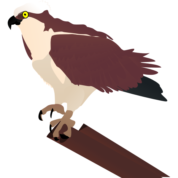 SVG osprey